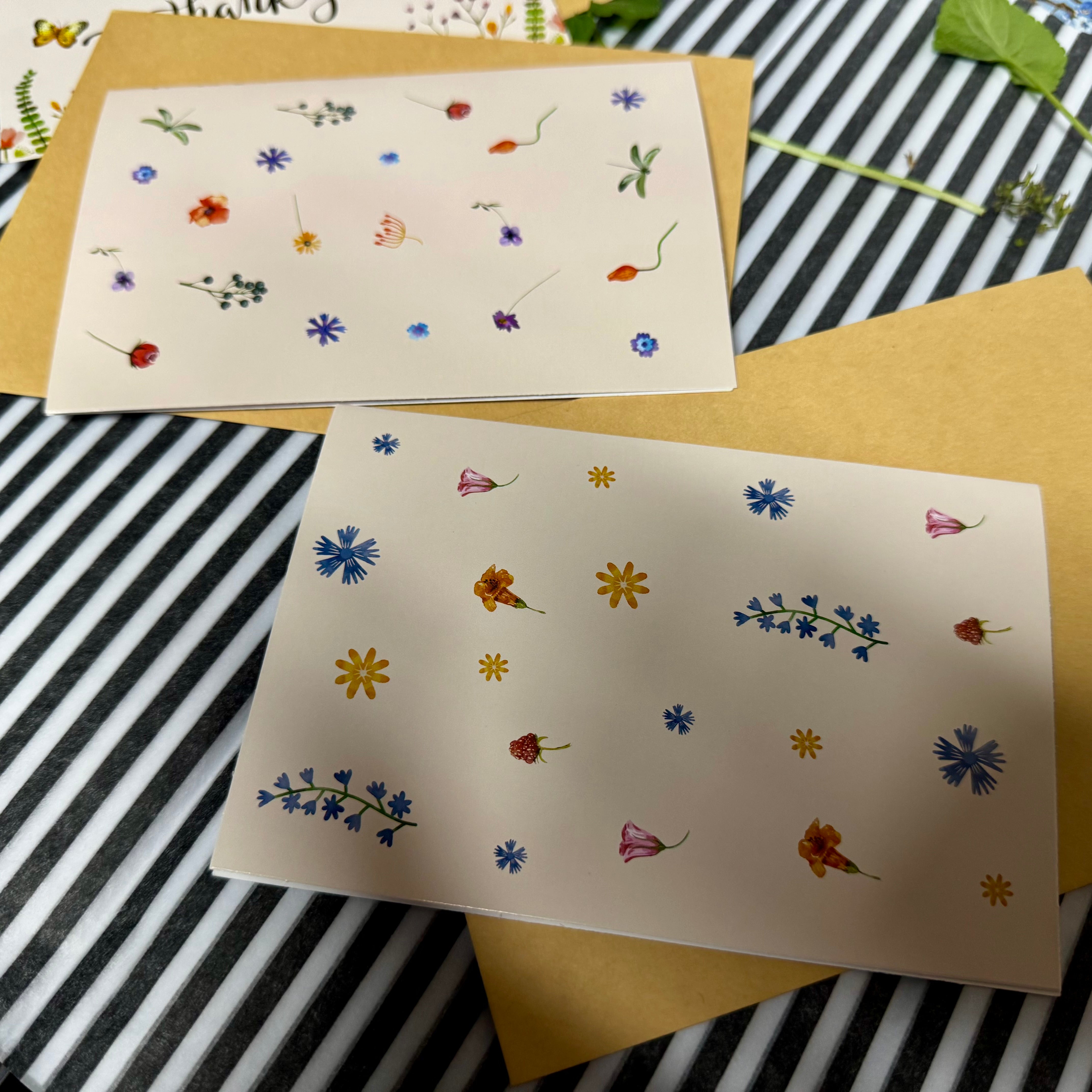 Thank you Greeting Card Set - B