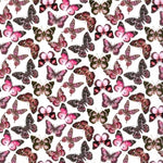 Julie’s Butterfly Pink (M) 💜